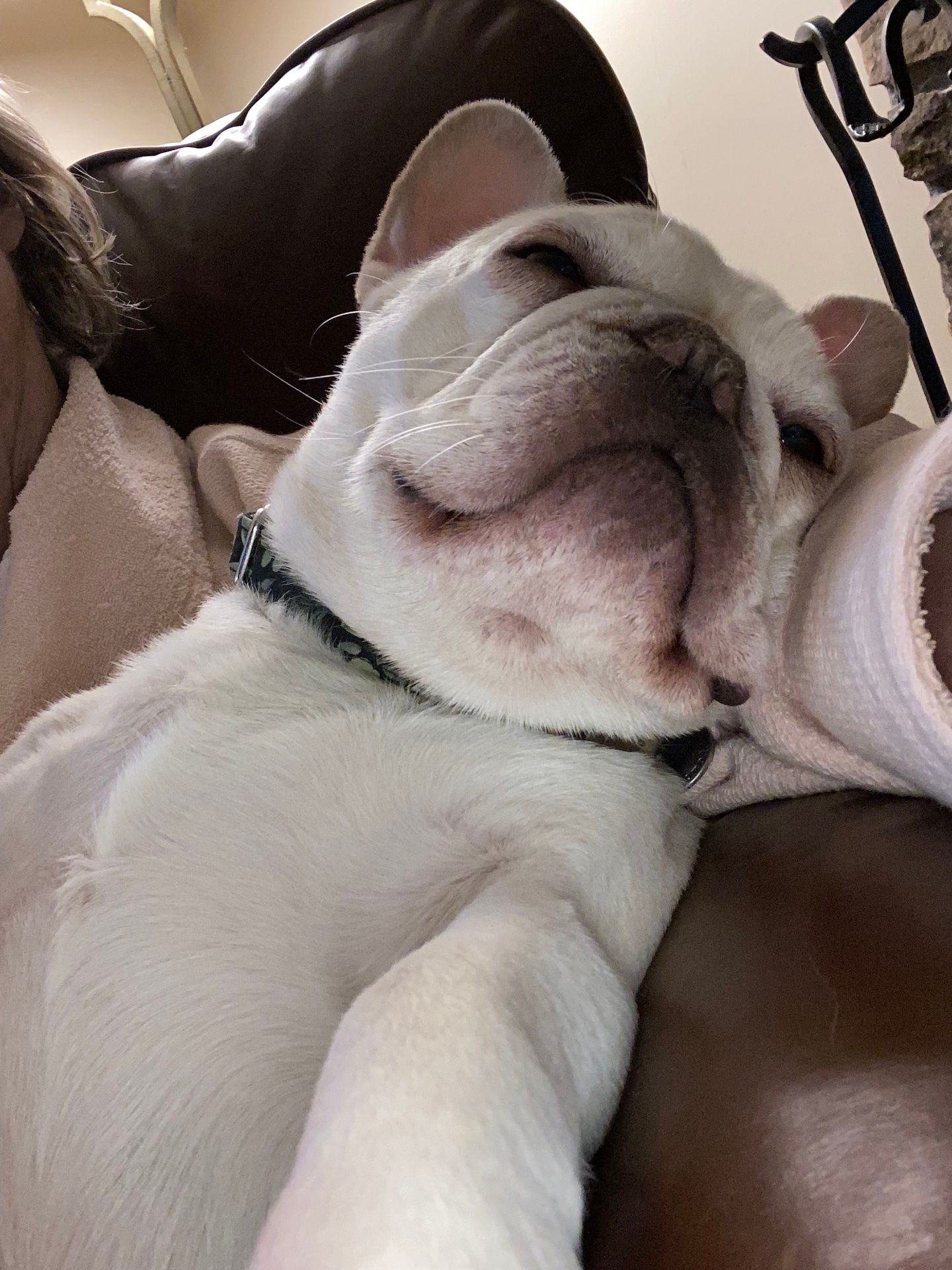 ava relaxing in my ars.jpg