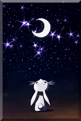 Starry bunny