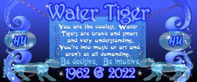 year of the water tiger.jpg