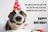 dog-happy-birthday-meme-funny-card_ad7ece9c6.jpg