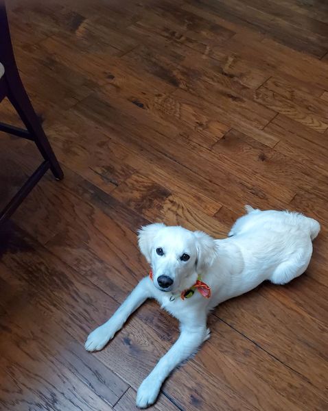 Marigold Kitchen Picture 2 2022.jpg