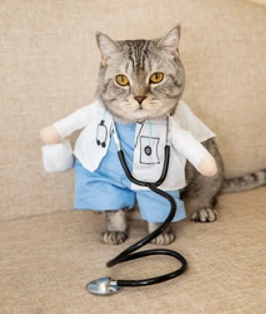 Screen Shot 2022-04-22 at 8.18.18 AM.png