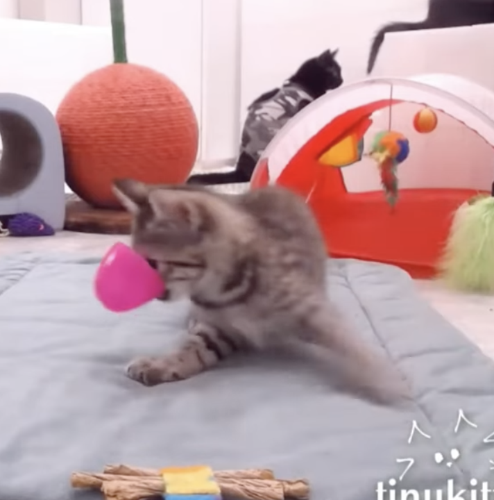 Screen Shot 2022-05-09 at 8.41.14 PM.png