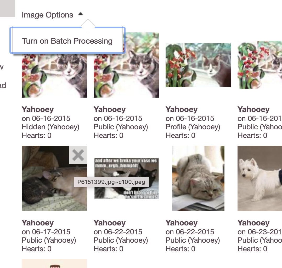 Screen Shot 2022-05-26 at 5.40.34 PM.png