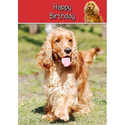 cocker-spaniel-birthday-greeting-card-8x55.jpg