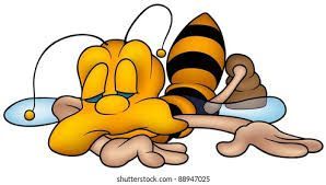 Q Tired Bee.jpg