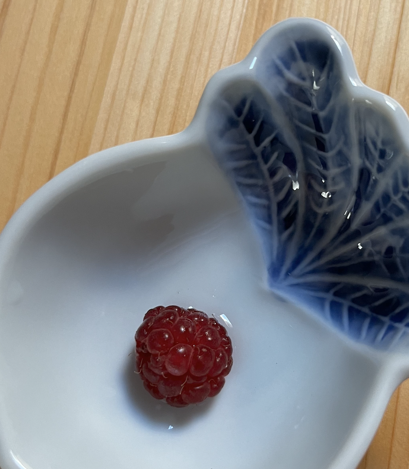 Screen Shot 2022-06-14 at 7.28.24 PM.png