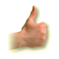 animated-thumb-image-0001.gif