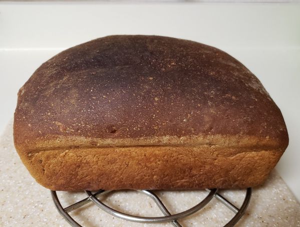 Bread Cooked in Oven.jpg