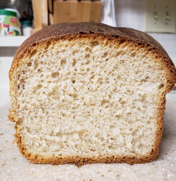 Bread Crumb.jpg