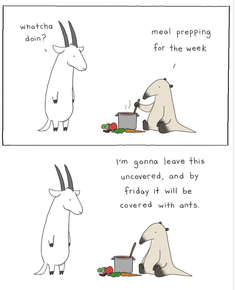 Screen Shot 2022-07-24 at 2.08.56 PM.png