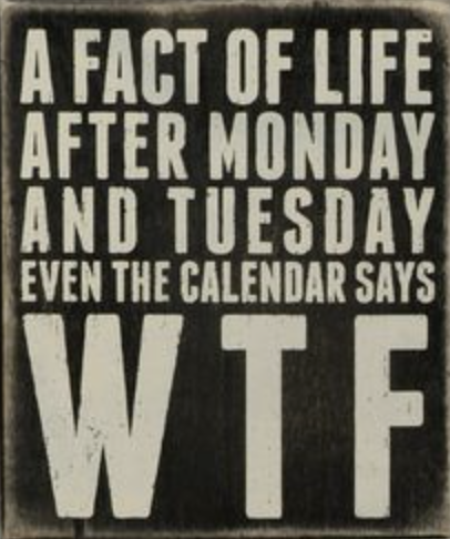 Screen Shot 2022-08-16 at 8.33.31 AM.png