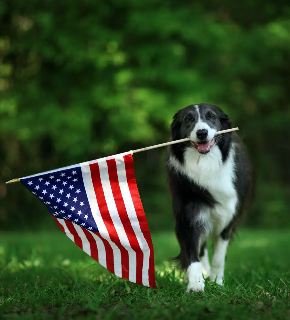 Screen Shot 2022-09-05 at 8.30.04 AM.png