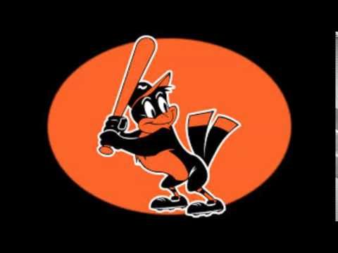 oriole bird 2.jpg