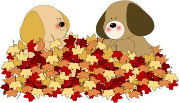 Dog_leaves.jpg