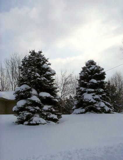 Front Yard From Street.jpg