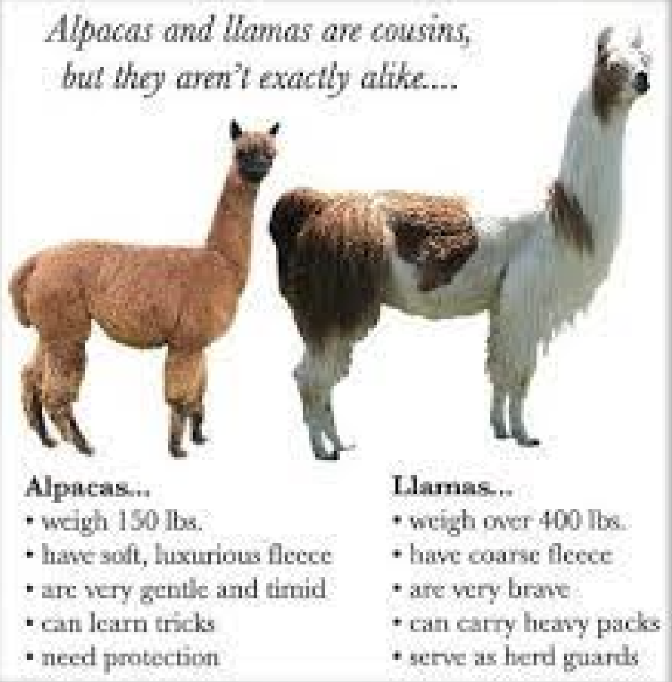 Screen Shot 2022-10-10 at 3.44.57 PM.png