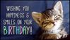 Happy-Birthday-Kitten-6-300x175.jpg