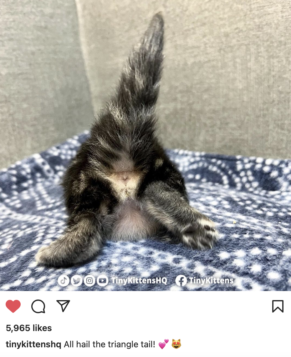 Screen Shot 2022-11-11 at 5.50.10 PM.png