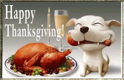 happy-thanksgiving-dogs.gif