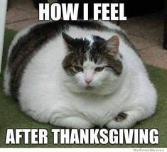 Q How I feel after Thanksgiving.jpg