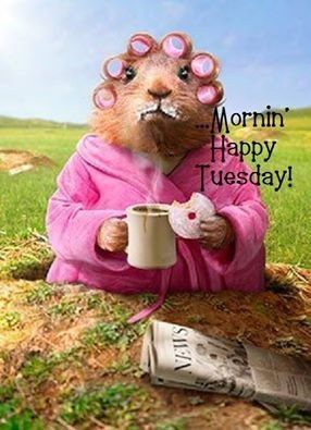 1287685954-125267-Morning-Happy-Tuesday.jpg