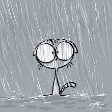 raining-cats.gif