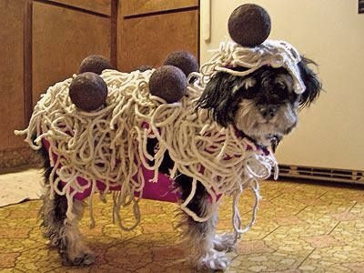 spaghetti-dog-costume.jpg
