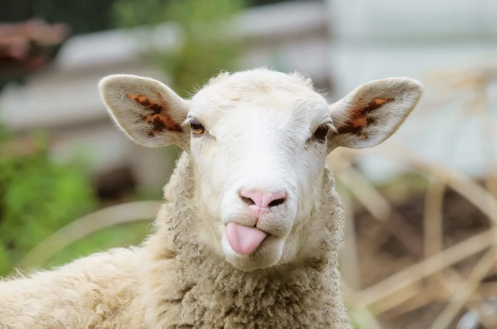 Screen Shot 2023-02-23 at 5.39.39 PM.png