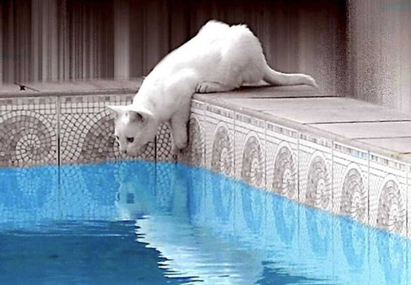 Screen Shot 2023-03-16 at 7.47.01 AM.png