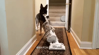 cleaning-funny.gif