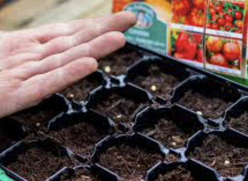 Screen Shot 2023-03-24 at 8.53.47 AM.png