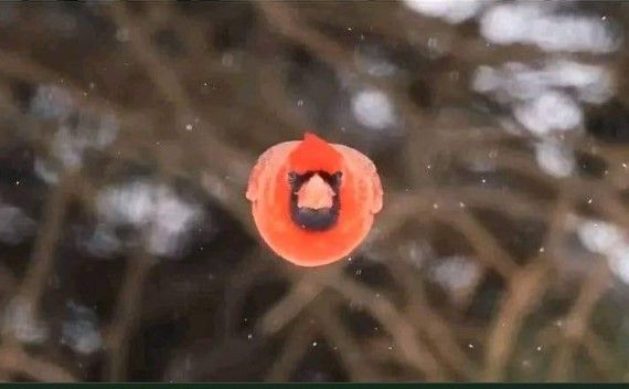 Screenshot 2023-04-10 191532.jpg