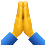 folded-hands_1f64f.png