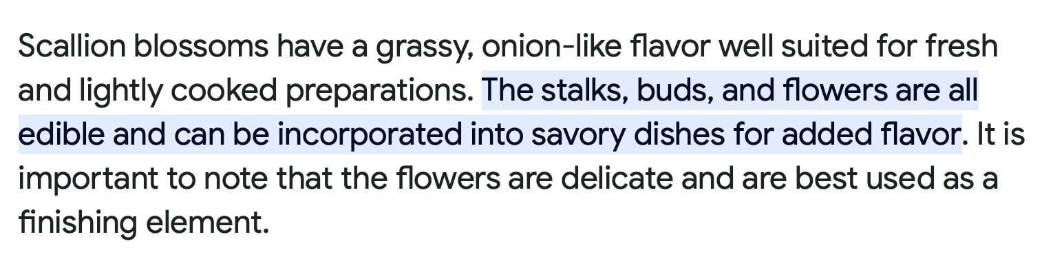 Screenshot 2023-06-13 at 8.43.52 PM.png