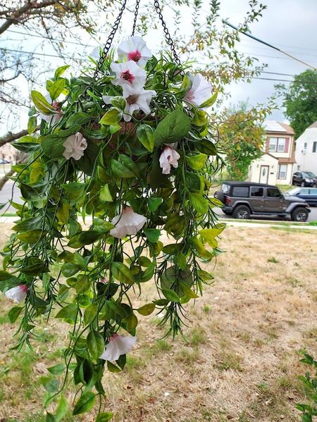 20220828_113554 (1).jpg