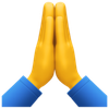 folded-hands_1f64f.png