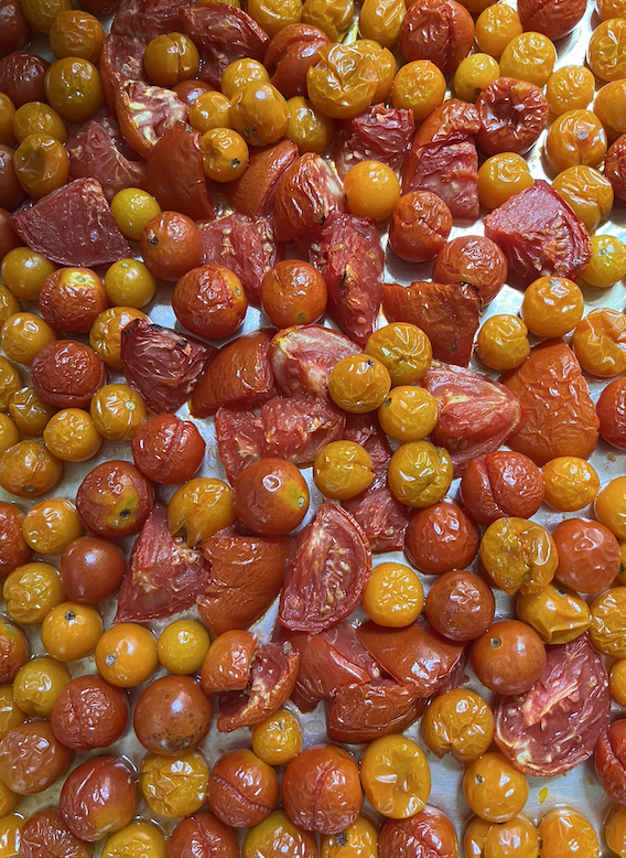 Screenshot 2023-07-30 at 1.44.05 PM.png