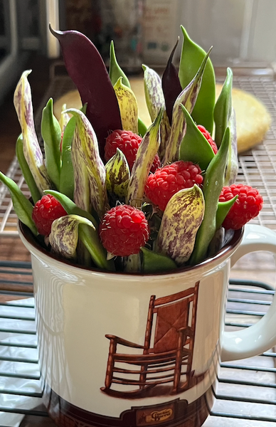 Screenshot 2023-07-31 at 6.01.42 AM.png