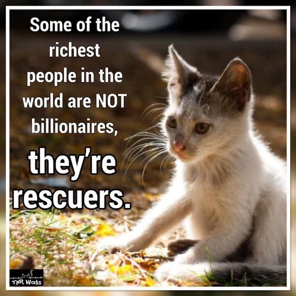 rescuers are rich.jpg