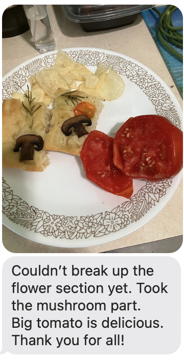 Screenshot 2023-08-03 at 6.41.22 AM.png