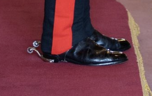 Screenshot 2023-08-15 at 8.25.52 PM.png