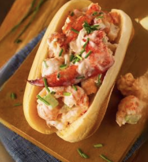 Screenshot 2023-08-29 at 11.31.14 AM.png