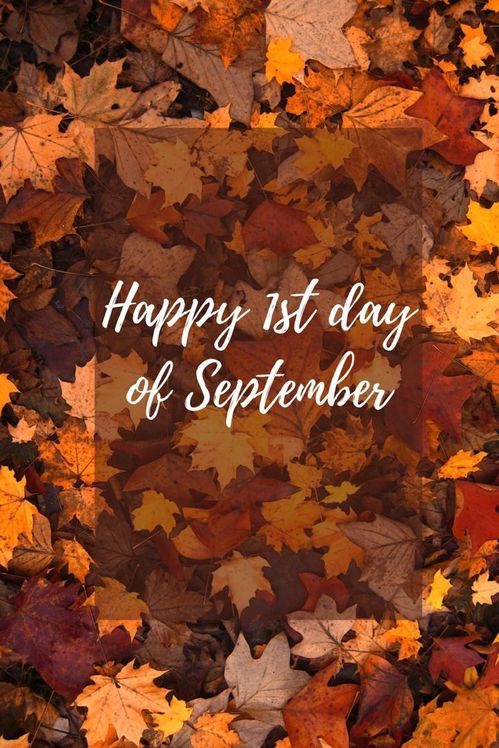 4EB8FDCF-8E5C-4D4C-ABD8-D025B4D5AE4C (1).jpeg