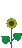 sunflower-spinning.gif