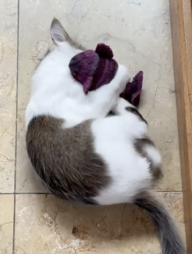 Screenshot 2023-10-25 at 6.39.52 AM.png