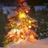 Christmas-tree-glow[1].jpg