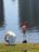IMG950044[1027] my buddiws swan and flamingo landmark.jpg