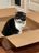 IMG_2055.jpeg