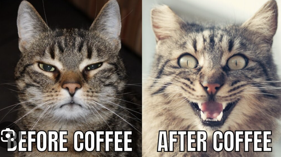 Screenshot 2023-12-11 at 4.47.24 PM.png